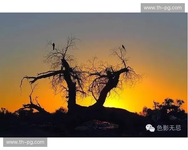 开云线路库：开启你的无限可能，让畅游无界从这里开始